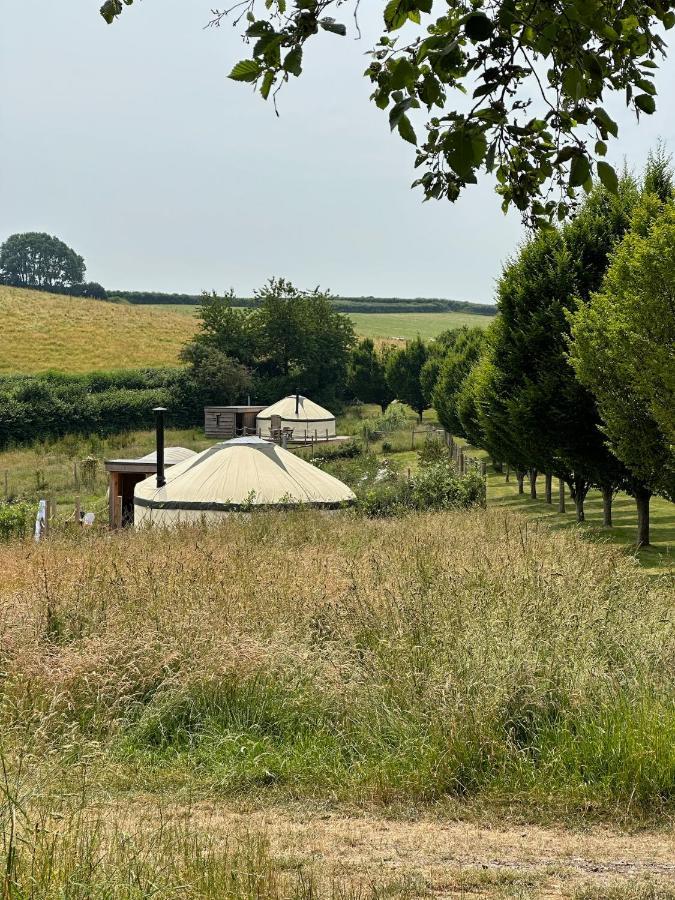 Bracken Yurt At Walnut Farm Glamping Hotell Netherbury Eksteriør bilde