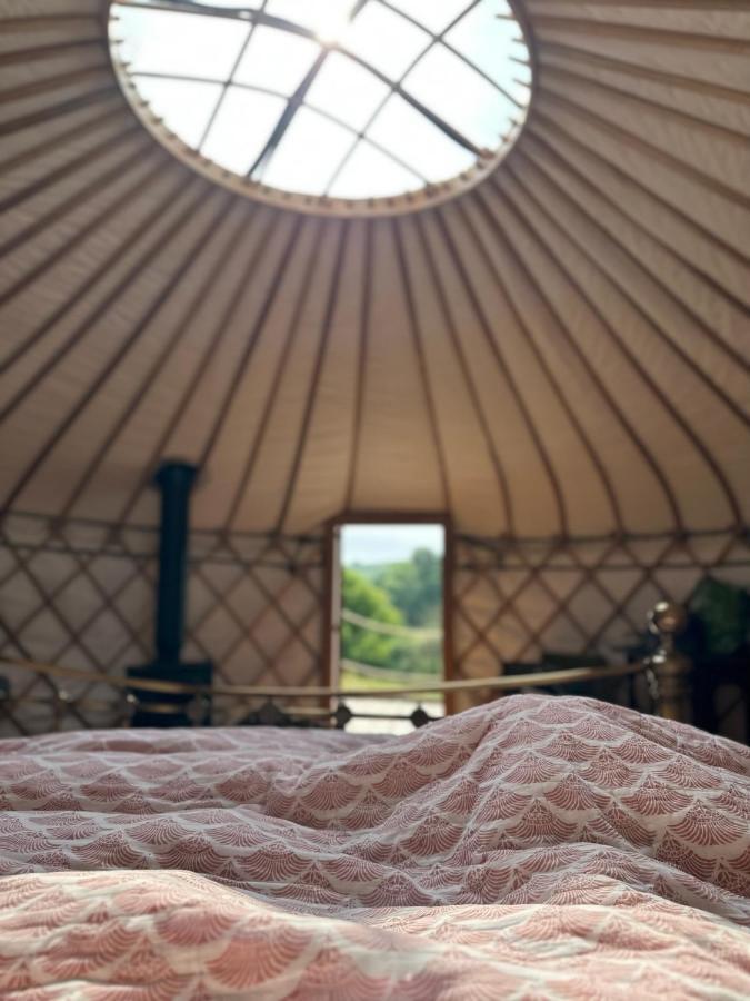 Bracken Yurt At Walnut Farm Glamping Hotell Netherbury Eksteriør bilde