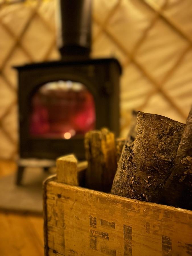 Bracken Yurt At Walnut Farm Glamping Hotell Netherbury Eksteriør bilde